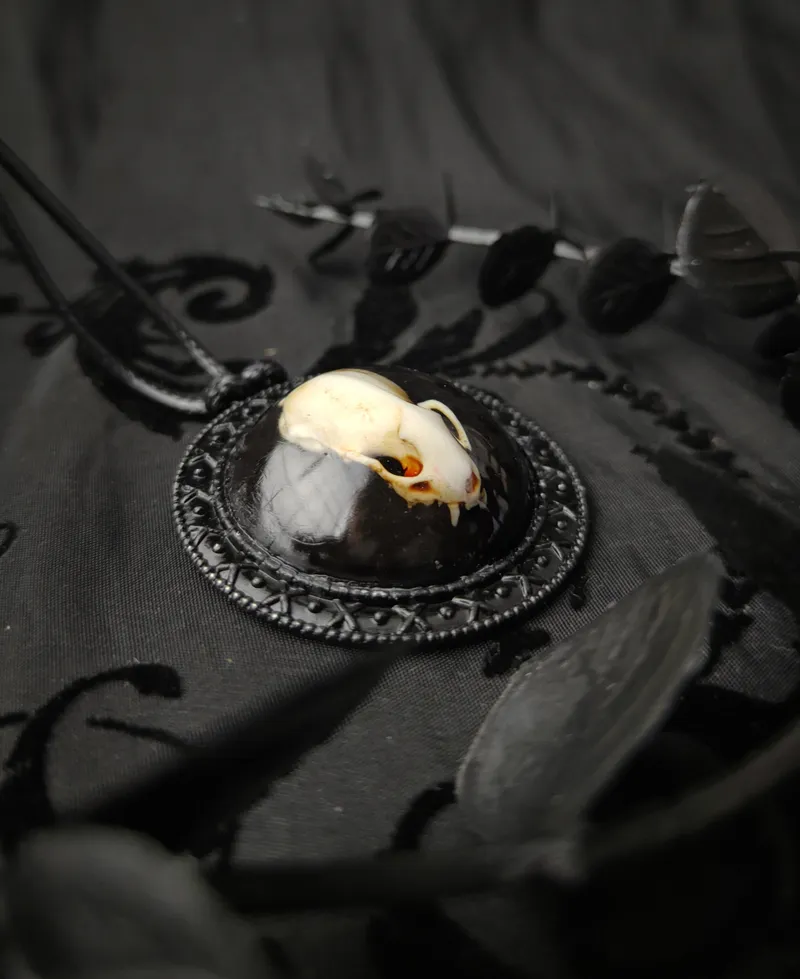 Pendentif Médaillon Crâne d'Hermine en Résine, bijou gothique fait main (3)