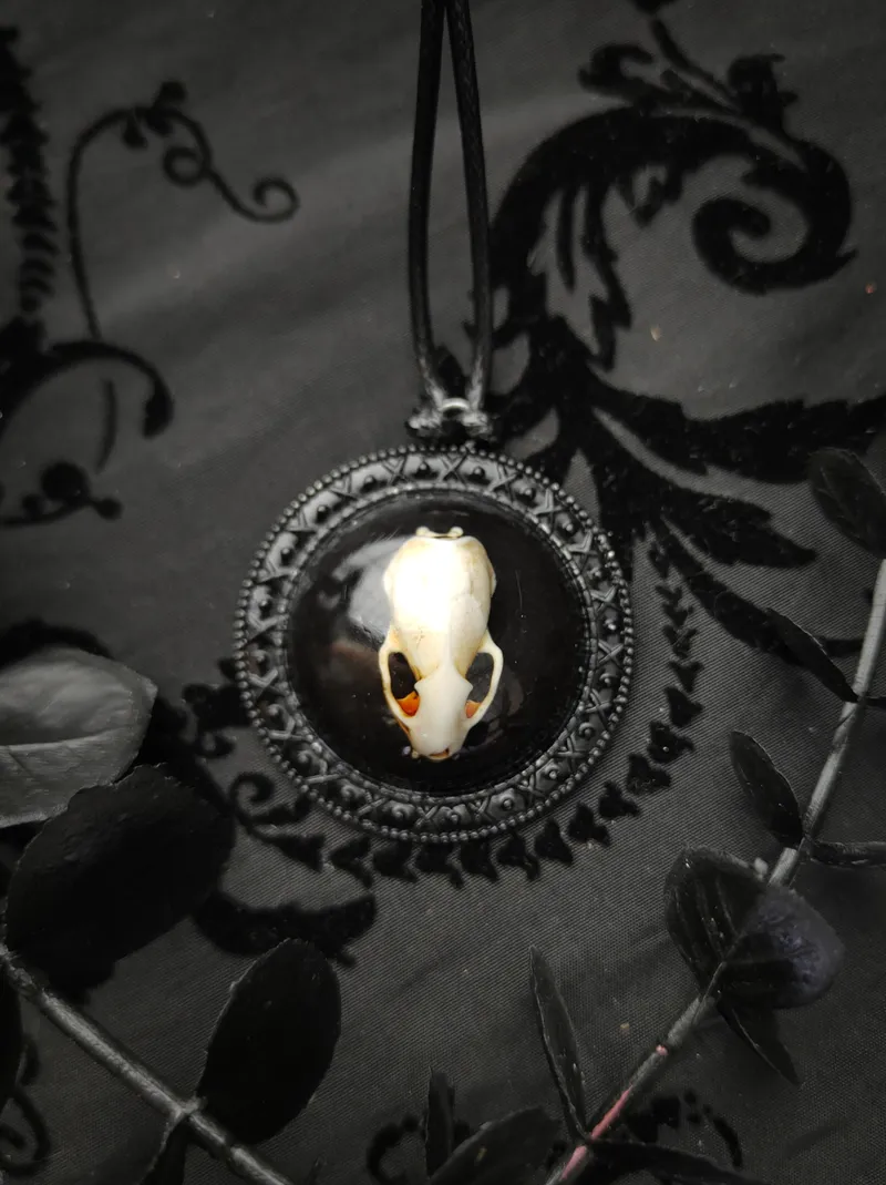 Pendentif Médaillon Crâne d'Hermine en Résine, bijou gothique fait main