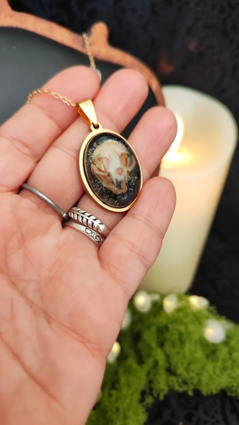 Collier Médaillon Faune — Pendentif Crâne de Chat ou de Loup — 3