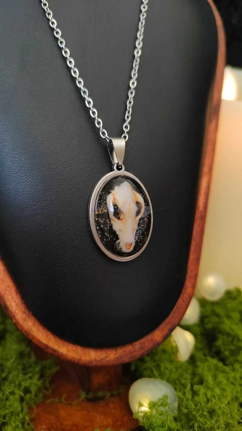 Collier Médaillon Faune — Pendentif Crâne de Chat ou de Loup