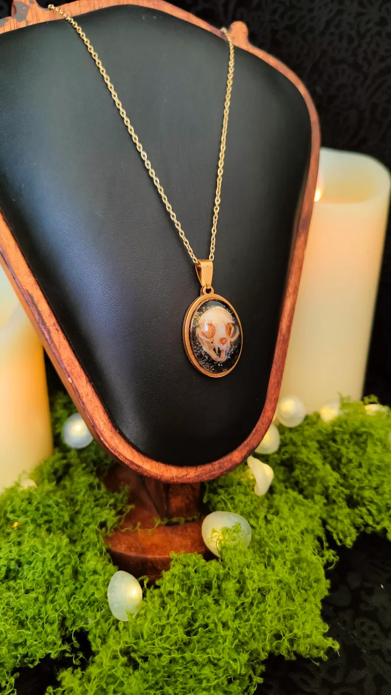 Collier Médaillon Faune — Pendentif Crâne de Chat ou de Loup — 2