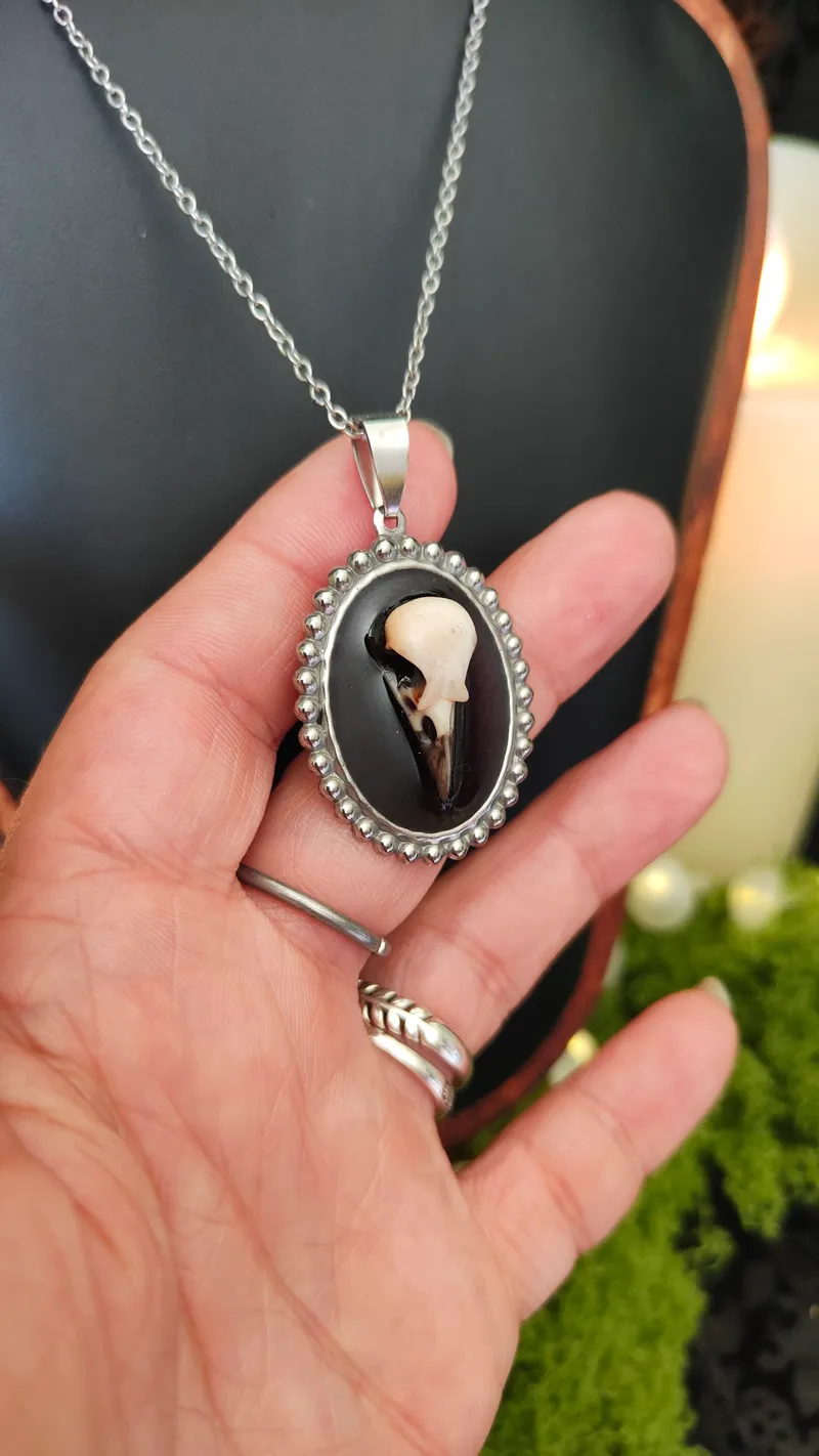 Collier Médaillon Gothique — Pendentif Cabinet de Curiosités — 3