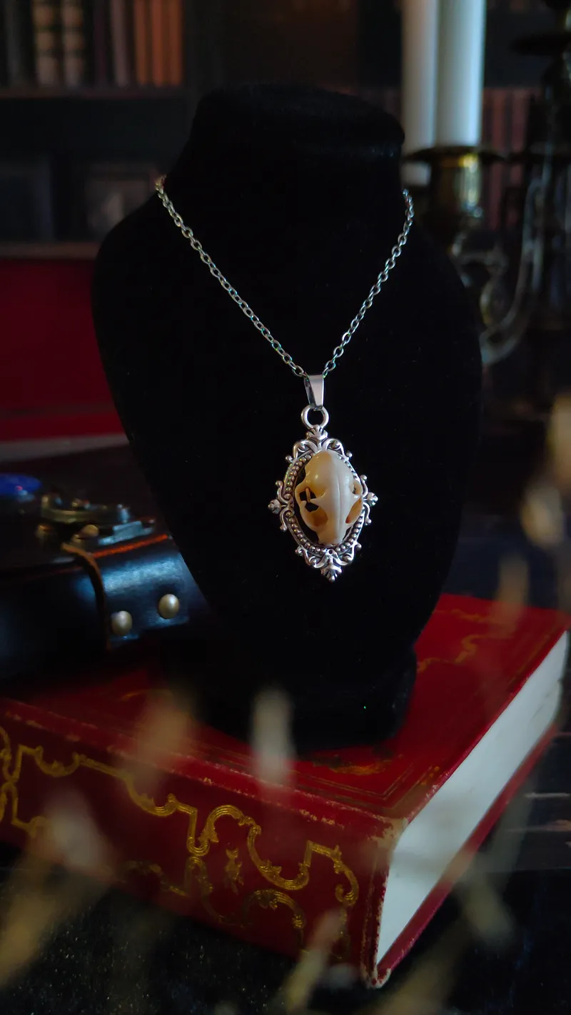 Pendentif Médaillon Crâne de Chat, bijou gothique fait main