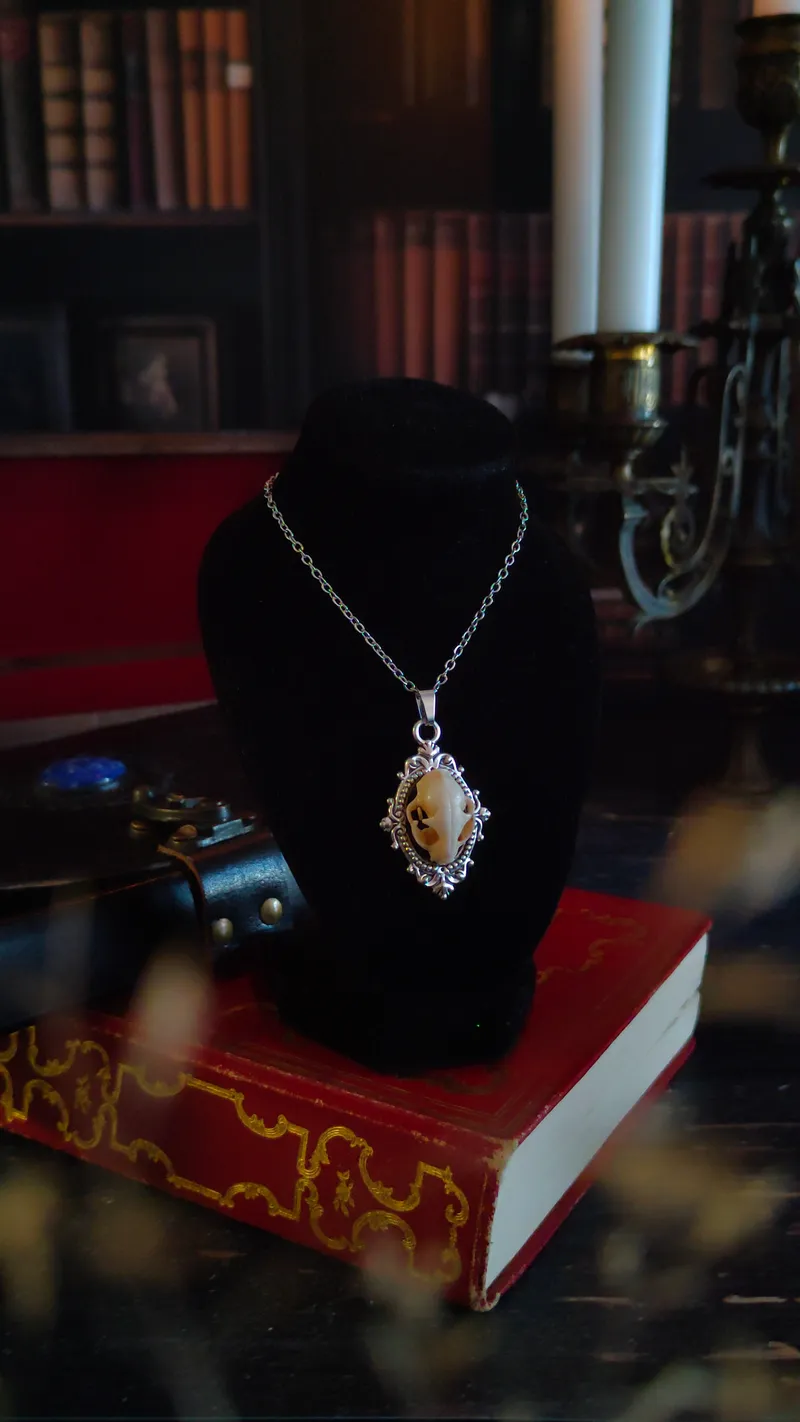 Pendentif Médaillon Crâne de Chat, bijou gothique fait main (3)