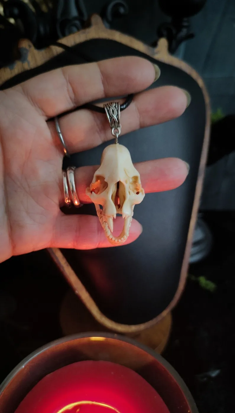 Collier Crâne de Vampire- Créature de la Nuit  — 3