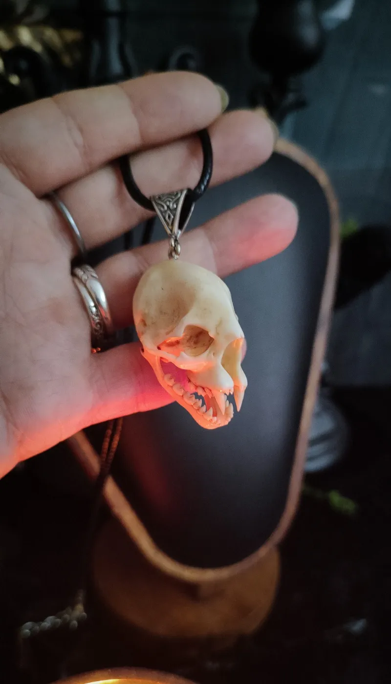 Collier Crâne de Vampire- Créature de la Nuit 