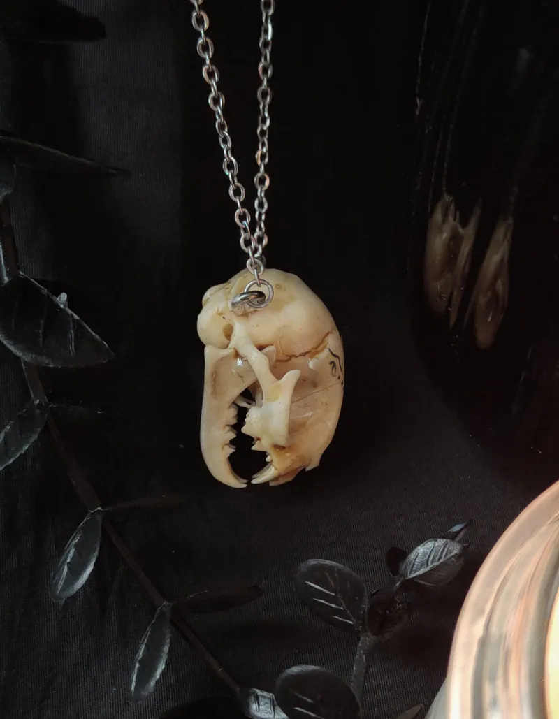 Pendentif Crâne de Chat Orné — 3