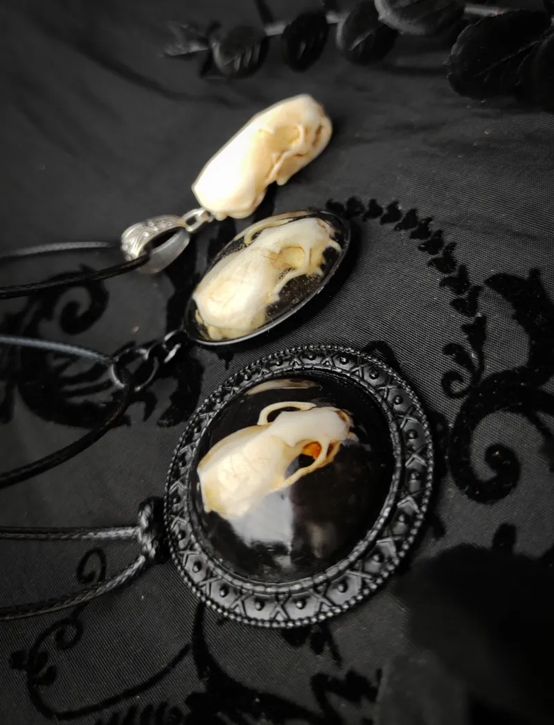 Pendentif Crâne d'Hermine en Résine, bijou gothique fait main (3)