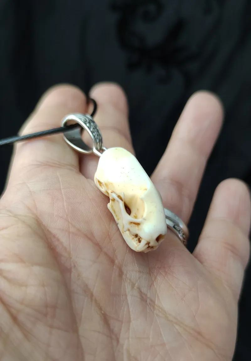 Pendentif Crâne d'Hermine en Résine, bijou gothique fait main