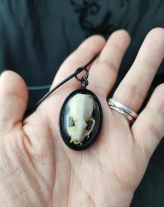 Pendentif Crâne d'Hermine en Résine sous dôme, handmade gothic jewelry (2)
