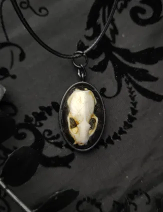 Pendentif Crâne d'Hermine en Résine sous dôme