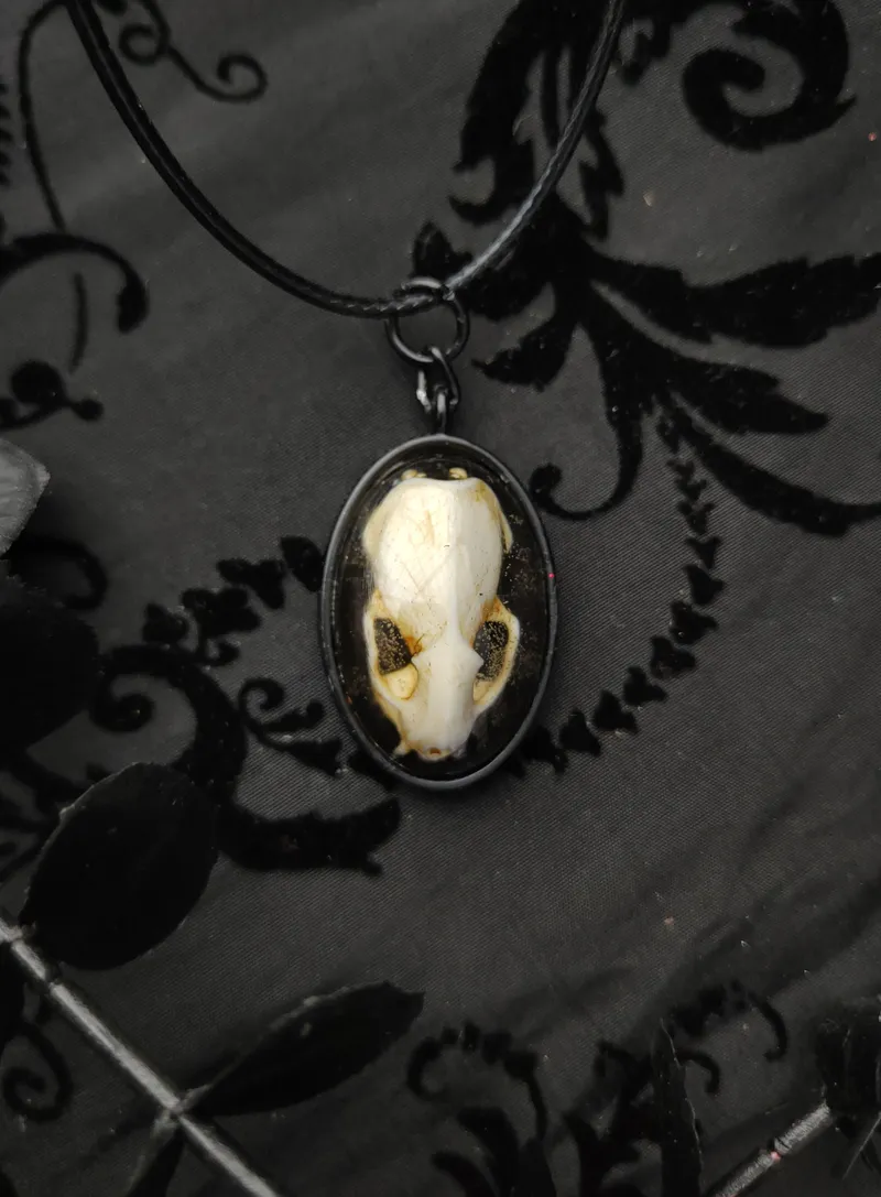 Pendentif Crâne d'Hermine en Résine sous dôme, bijou gothique fait main