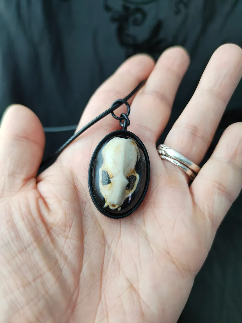 Pendentif Crâne d'Hermine en Résine sous dôme, bijou gothique fait main (2)