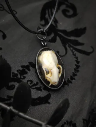 Pendentif Crâne d'Hermine en Résine sous dôme, handmade gothic jewelry (3)