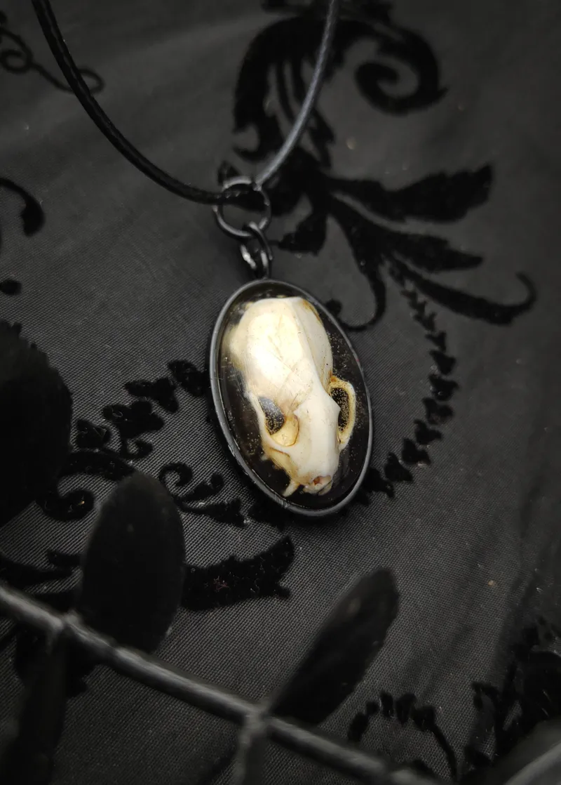 Pendentif Crâne d'Hermine en Résine sous dôme, bijou gothique fait main (3)