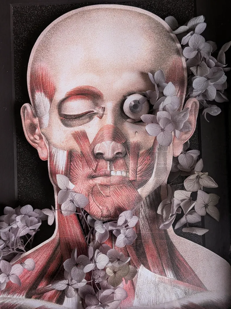 In Ictus Oculi - Collection Omnia Vanitas, art gothique original (2)