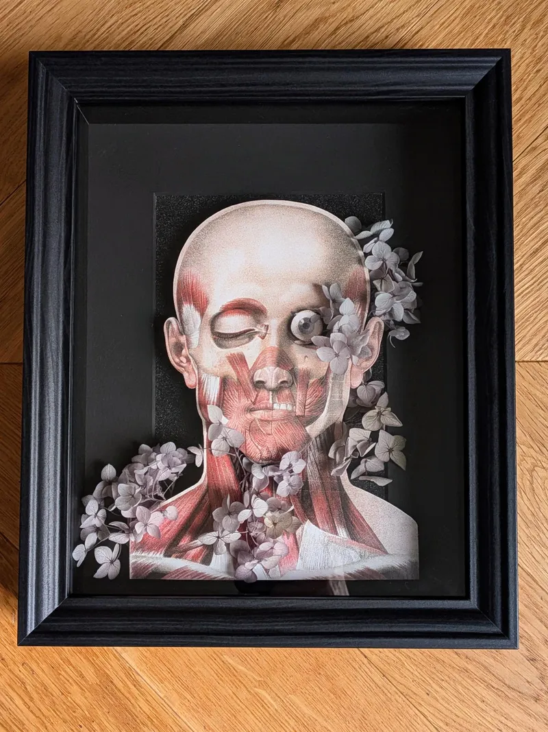In Ictus Oculi - Collection Omnia Vanitas, art gothique original