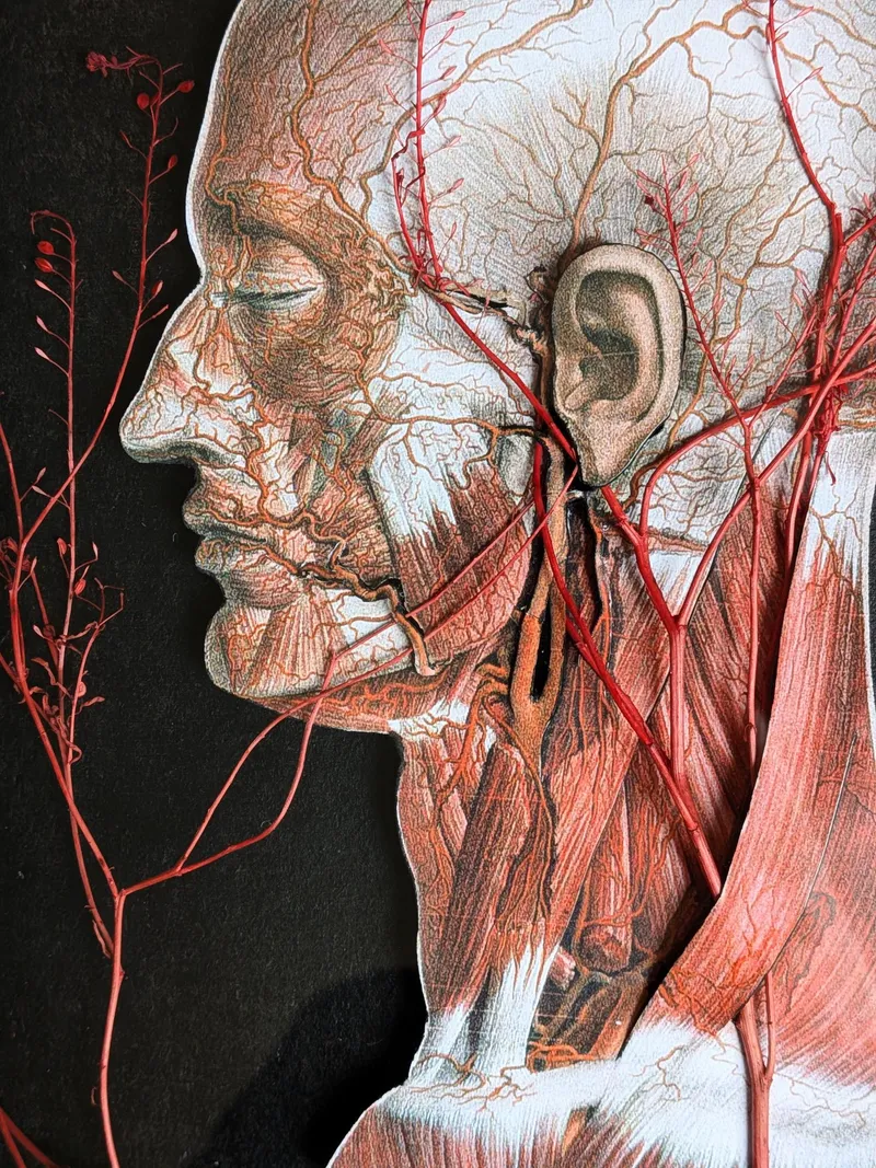 Jugulaire - Dyptique - Collection Omnia Vanitas, art gothique original (3)