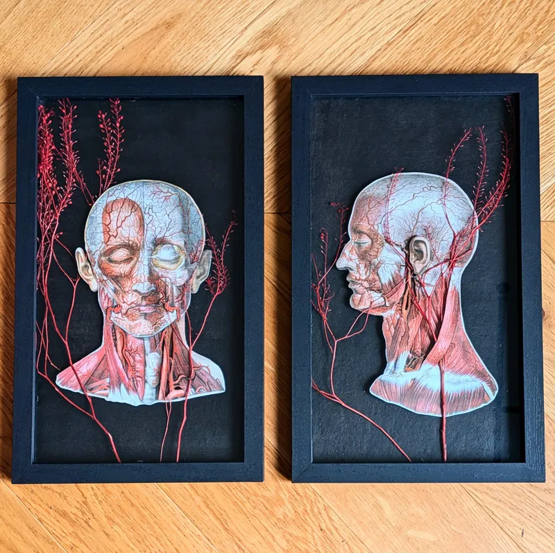 Jugulaire - Dyptique - Collection Omnia Vanitas, art gothique original