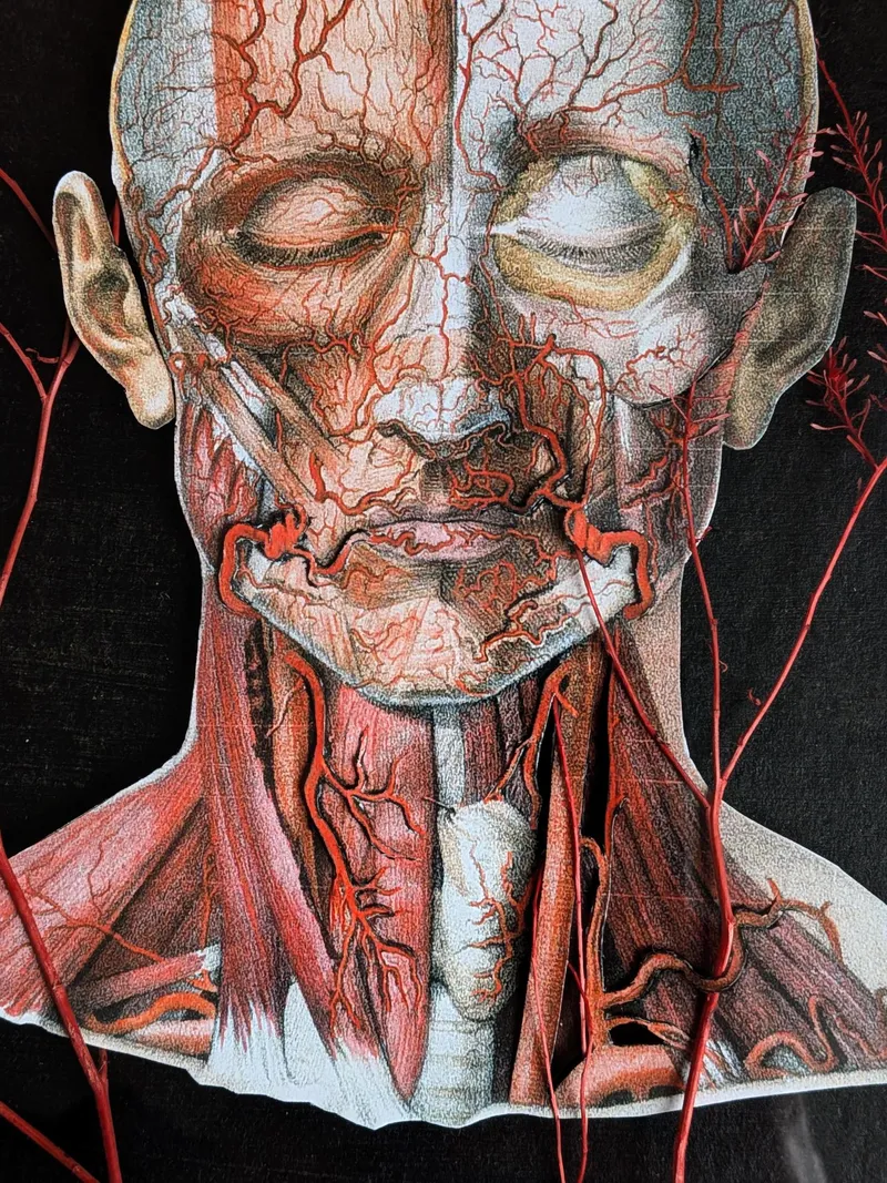 Jugulaire - Dyptique - Collection Omnia Vanitas, art gothique original (2)