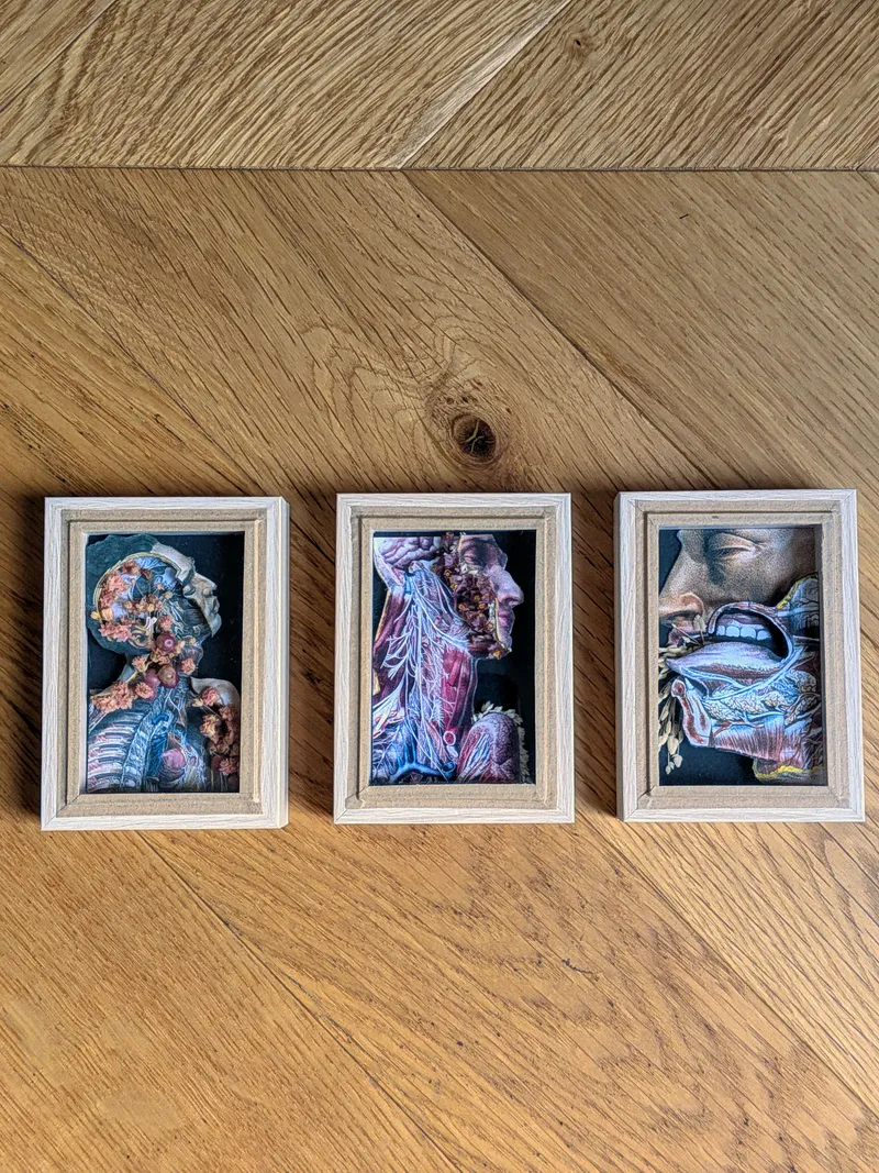 3 Miniatures avec illustration médicale ancienne - Gravure reproduction - Les écorchés, art gothique original