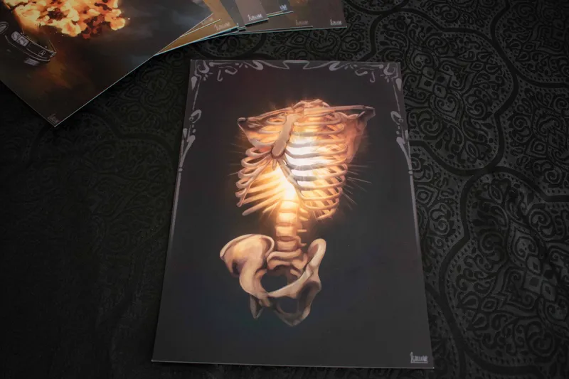 Illustration A4 - Ribcage Light