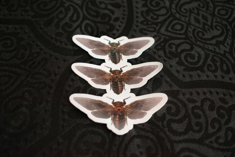 Sticker Holographique - Cicadas