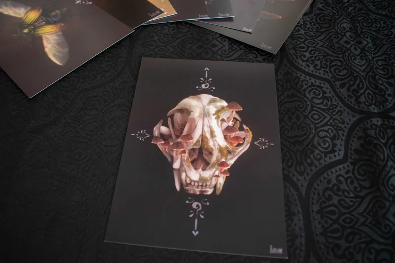Illustration A5 - Cat Skull