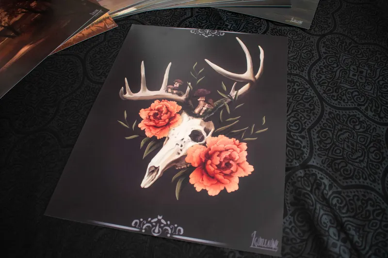 Illustration A3 - Deer Skull