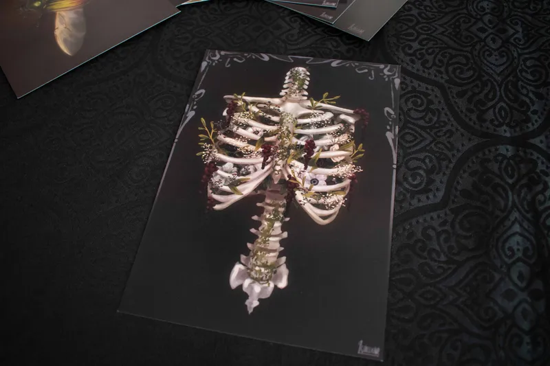 Illustration A5 - Floral Ribcage