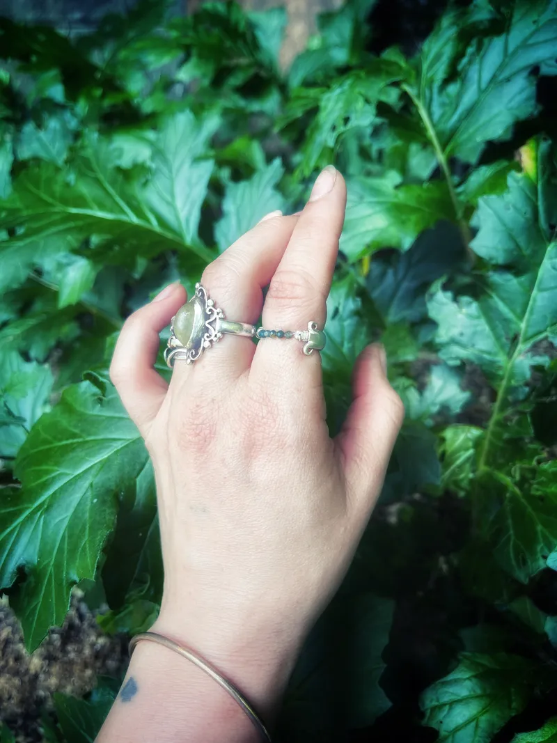 🌿Artemis✨