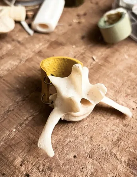 Vague cuir et vertebre