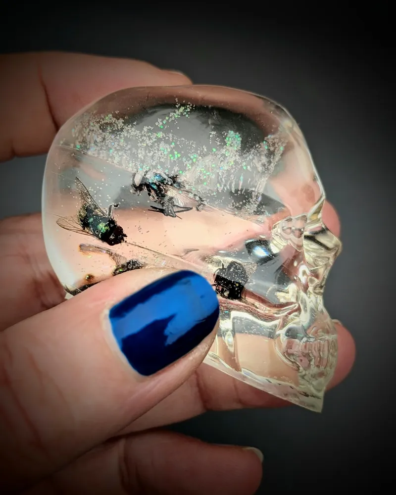 Mini EntomoSkull Sa Majesté des Mouches