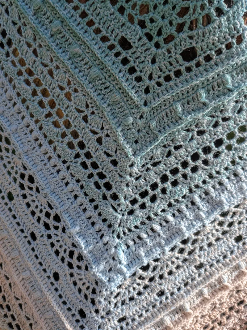 Châle coloris geai bleu — 2