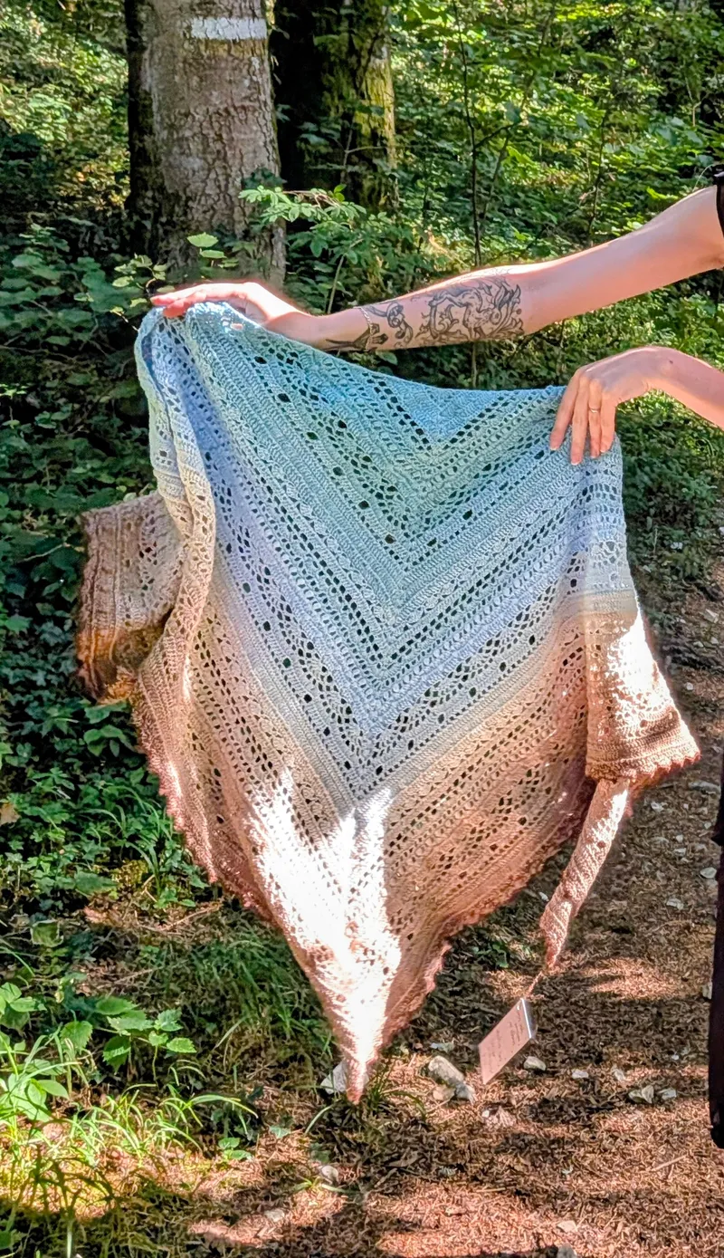 Châle coloris geai bleu — 3