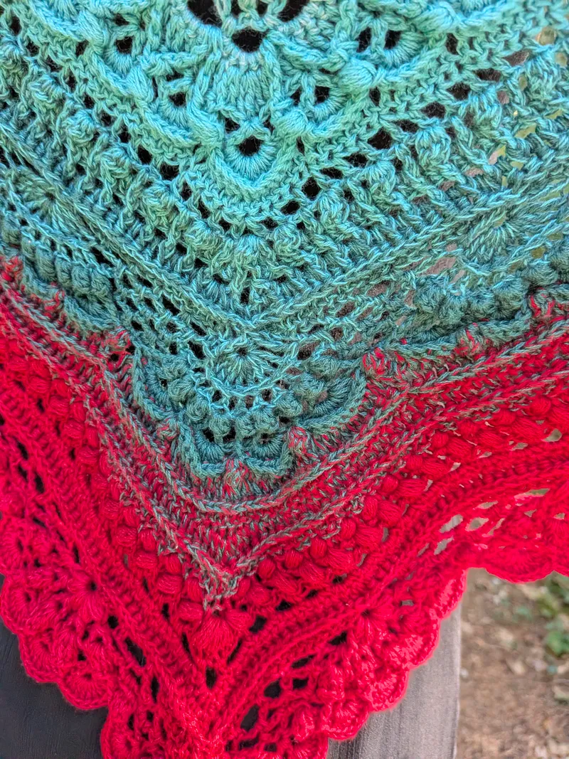 Châle coloris sorbier en hiver — 2